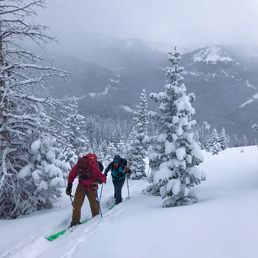 Adventure Travel: Cameron Pass Backcountry Skiing | Flashpacker Travel Blog