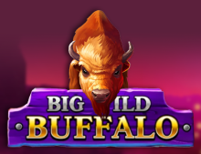 Logo Big Wild Buffalo